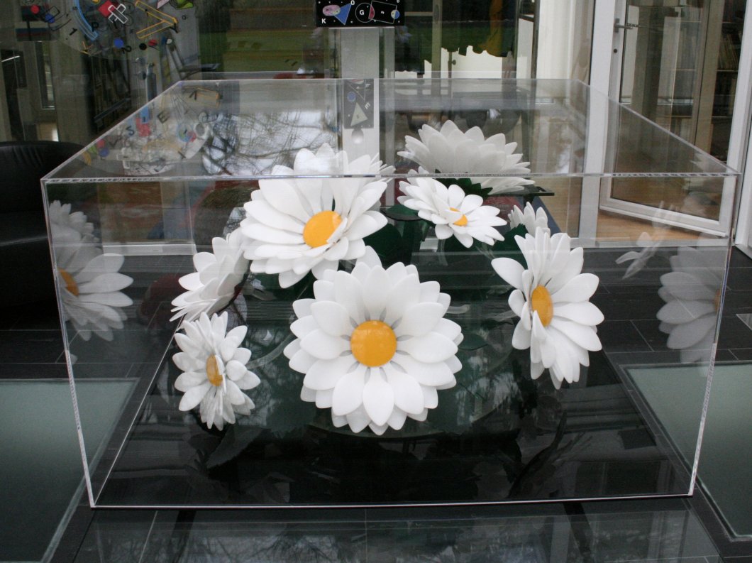 2017-011: Margeriten