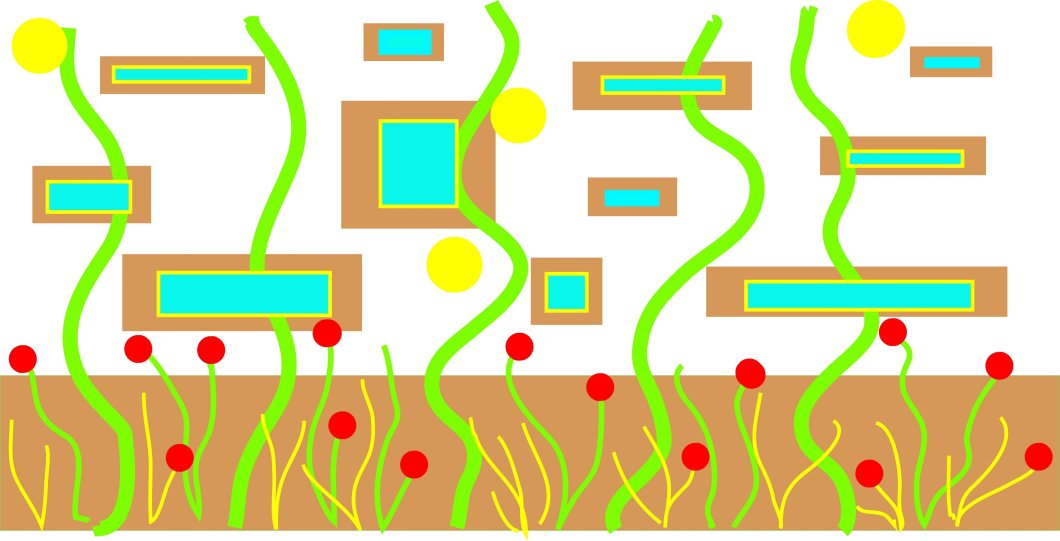 2025-034 : Cycling in Nature