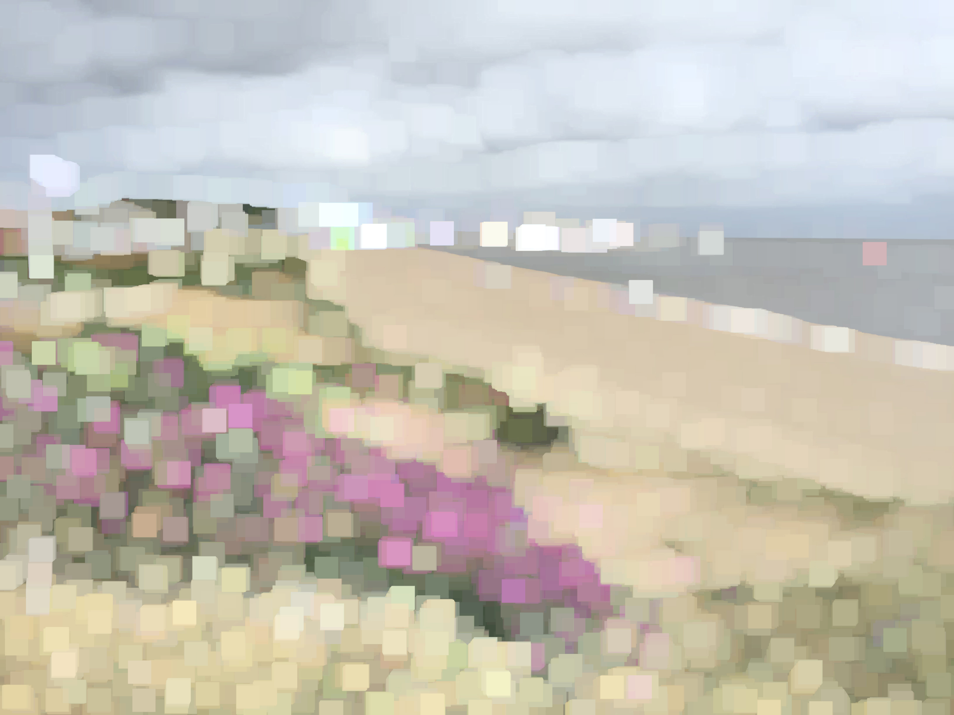 Digital Processed Photos